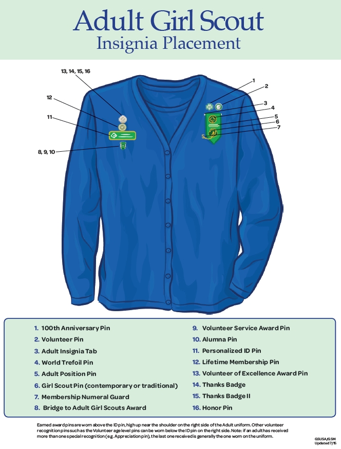 Troop Leader Mom: Getting Started with Girl Scout Daisies, Brownies, and  Juniors!: Vests vs. Sashes, Badges vs. Patches, and General Patch/Pin/Uniform  Tips